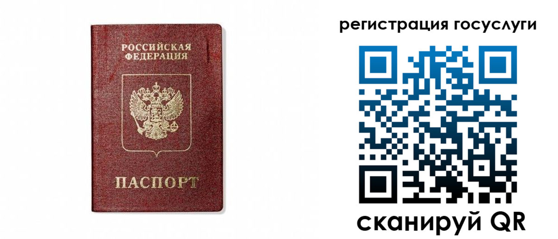 прописка паспорт в Новозыбкове